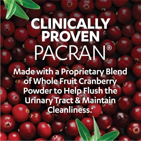 AZO Cranberry Pro, Cranberry Pills for Women & Men, 600mg Pacran, Made with Concentrated Whole Fruit Cranberry Powder to Help Cleanse and Protect The Urinary Tract*, Sugar Free, Non-GMO, 100 Softgels - Image 3