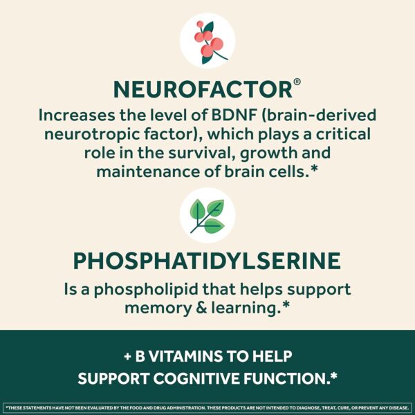 NEURIVA Plus Brain Supplement for Memory and Focus Clinically Tested Nootropics for Concentration for Mental Clarity, Cognitive Enhancement Vitamins B6, B12, Phosphatidylserine 30 Capsules - Image 4