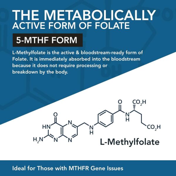 L Methyl Folate 15mg plus Methyl B12 Cofactor - Professional Strength, Active 5-MTHF Form - Supports Mood, Methylation, Cognition – Bioactive forms of Vitamin B9 & B12 (60 Capsules) - Image 6