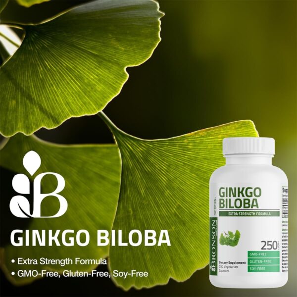 Bronson Ginkgo Biloba Extra Supports Brain Function & Memory Support, 360 Vegetarian Capsules - Image 3