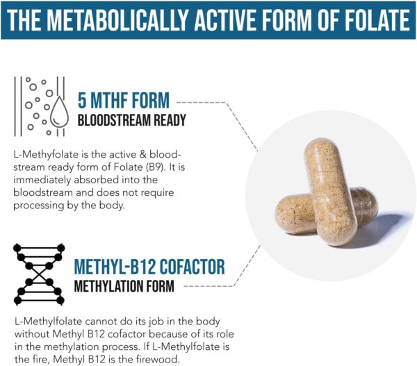 L Methyl Folate 15mg plus Methyl B12 Cofactor - Professional Strength, Active 5-MTHF Form - Supports Mood, Methylation, Cognition – Bioactive forms of Vitamin B9 & B12 (60 Capsules) - Image 3