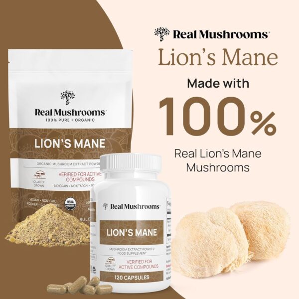 Lions Mane Mushroom Cognition Capsules (120 Capsules) Lions Mane Mushroom Powder Extract Capsules | Brain Supplement, Brain Vitamins, Focus Supplement - Image 5