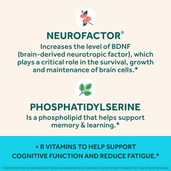 NEURIVA Plus Brain Supplement for Memory,Focus & Concentration+Cognitive Function with Vitamins B6 & B12 and Clinically Tested Nootropics Phosphatidylserine and Neurofactor,50ct Strawberry Gummies - Image 4