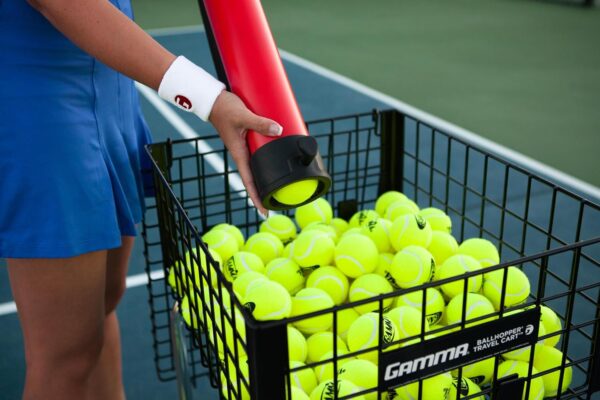 GAMMA Sports Pressureless Tennis Balls Box, Bulk Tennis Balls, Premium Tennis Accessories, Multiple Pack Sizes, Tennis Practice, Tennis Training, Pet Toys, Dog Ball, Coach, Indoor & Outdoor Play - Image 7